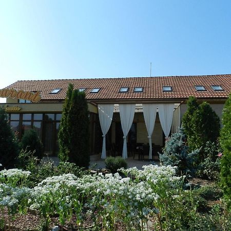 Anette Resort & Spa Covaci Esterno foto