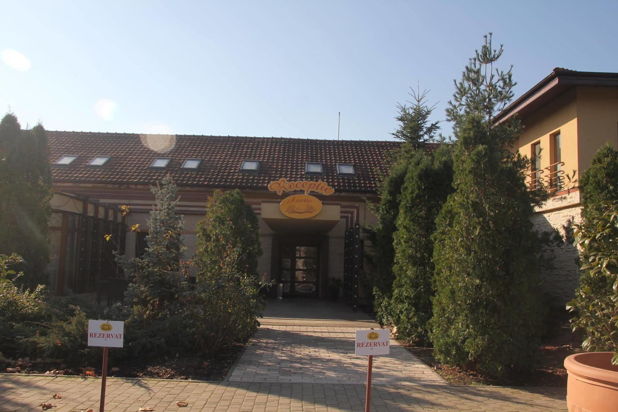 Anette Resort & Spa Covaci Esterno foto
